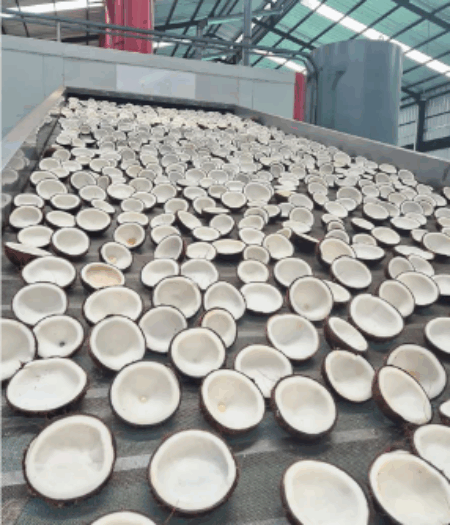 Drying Coconut with a Dryer