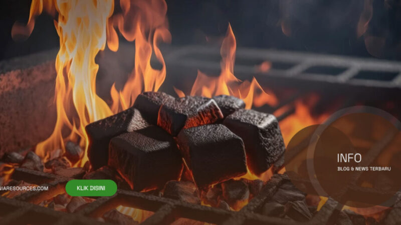 Coconut-Shell-Charcoal-Indonesia