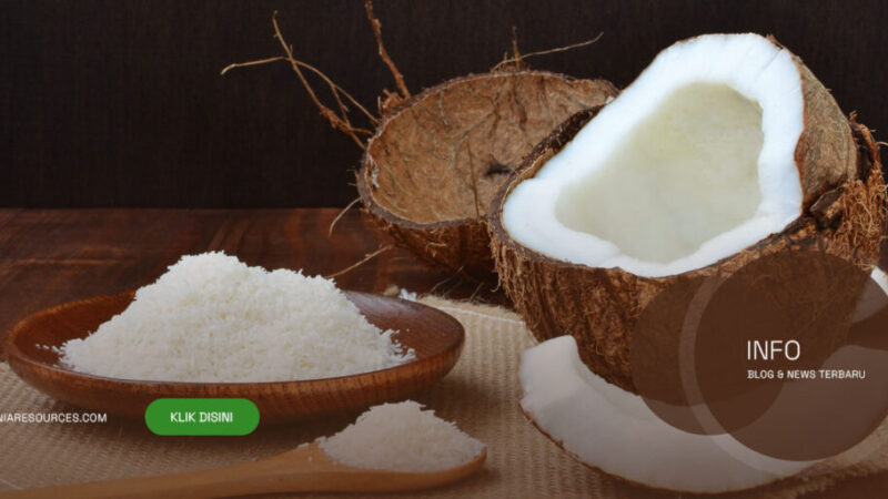Premium-Desiccated-Coconut-Indonesia