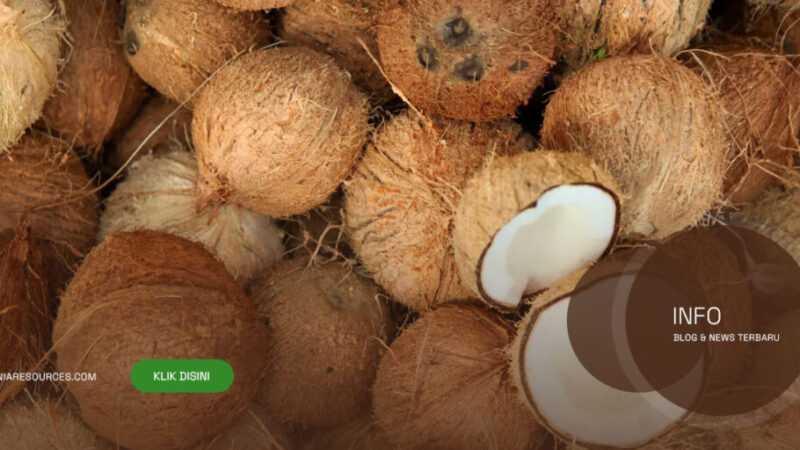 Trusted-Coconut-Supplier-Indonesia