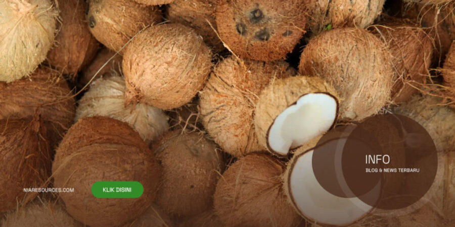 Trusted-Coconut-Supplier-Indonesia