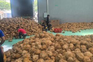 no1 diganti dengan ini no1 diganti dengan ini