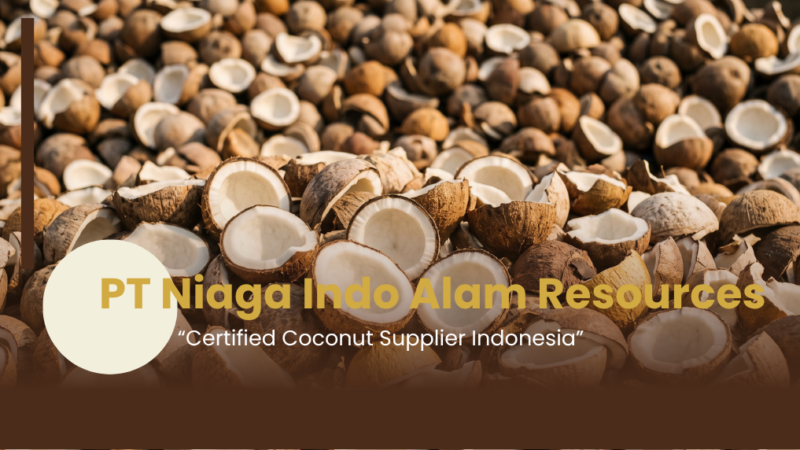 Certified coconut supplier in Indonesia with ISO 22000 HACCP and Halal certification