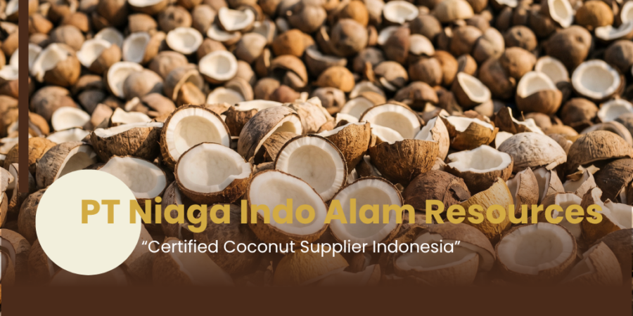 Certified coconut supplier in Indonesia with ISO 22000 HACCP and Halal certification