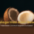 Indonesian Coconut Suppliers to Russia