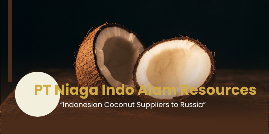 Indonesian Coconut Suppliers to Russia